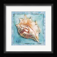 Shell 3 Fine Art Print