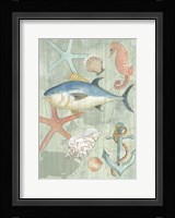 Coastal I Fine Art Print