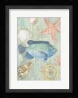 Coastal II Fine Art Print