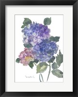 Hidragenia 1 Fine Art Print