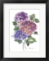 Hidragenia 2 Fine Art Print