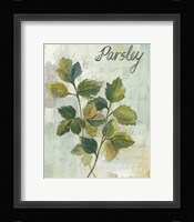 Parsley Framed Print