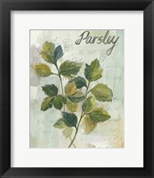 Parsley Framed Print