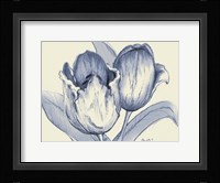 Indigo Tulip Fine Art Print