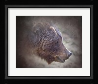 Grizzly Bear Boar Fine Art Print