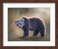 Grizzly Bear Boar Fine Art Print