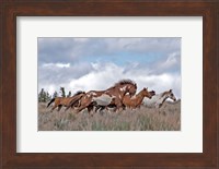 South Steens Mustangs Fine Art Print