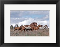 South Steens Mustangs Fine Art Print