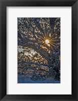 New Years Steens Mountain Sunrise Fine Art Print