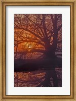 Foggy Sunrise Fine Art Print