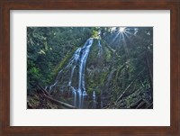 Lower Proxy Falls Fine Art Print