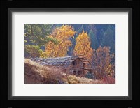 North Fork Cabin Fine Art Print