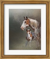 Chinook & Her Foal Fine Art Print