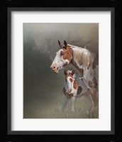 Chinook & Her Foal Fine Art Print