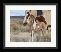 Lady Braveheart & Filly Fine Art Print
