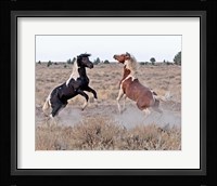 Domino & Aztec Fine Art Print