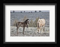 Precious and Dad (Casper) Fine Art Print