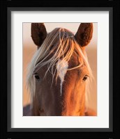 Curious Fine Art Print