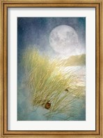 Moonlight Beach Fine Art Print