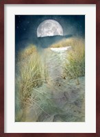 Moonlight Path Fine Art Print