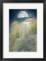 Moonlight Path Fine Art Print