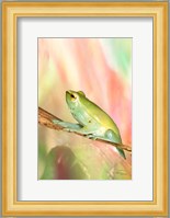 Basking in Light Fine Art Print