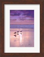 Seagull Beach II Fine Art Print
