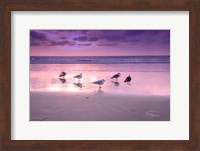 Seagull Beach I Fine Art Print