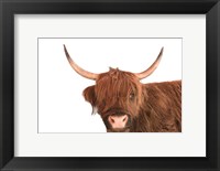 Highland Calf I Fine Art Print