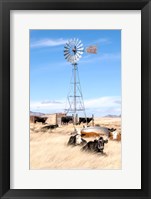 On a Lazy Afternoon Fine Art Print