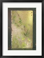 Bamboo Behind Frosted Glass Fine Art Print