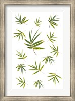 Bamboo Leaf Collection Fine Art Print