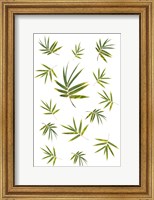 Bamboo Leaf Collection Fine Art Print