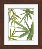 Bamboo Collage Fine Art Print