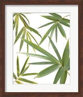 Bamboo Collage Fine Art Print