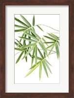 Bamboo Bouquet Fine Art Print