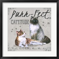 Cattitude Fine Art Print