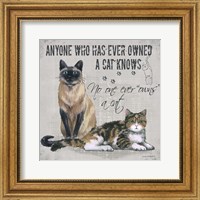 Owns a Cat Fine Art Print