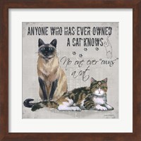 Owns a Cat Fine Art Print