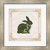 Bunny Fine Art Print