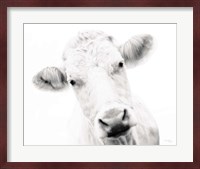 Cow IV Fine Art Print