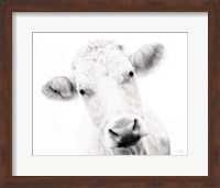 Cow IV Fine Art Print