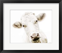 Cow V Fine Art Print