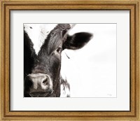 Cow VII Fine Art Print