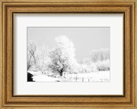 Winter Scene Fine Art Print