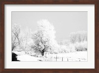 Winter Scene Fine Art Print