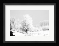 Winter Scene Fine Art Print