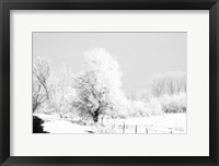 Winter Scene Fine Art Print