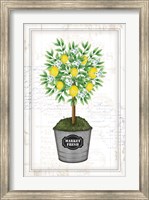 Lemon Topiary Fine Art Print