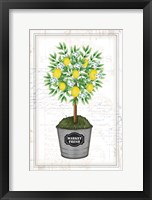 Lemon Topiary Framed Print